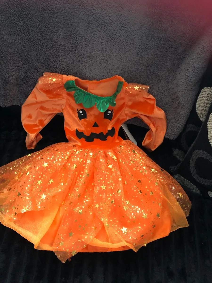 Girls BNWT Halloween costumes 9/12 mths €10 - Image 4