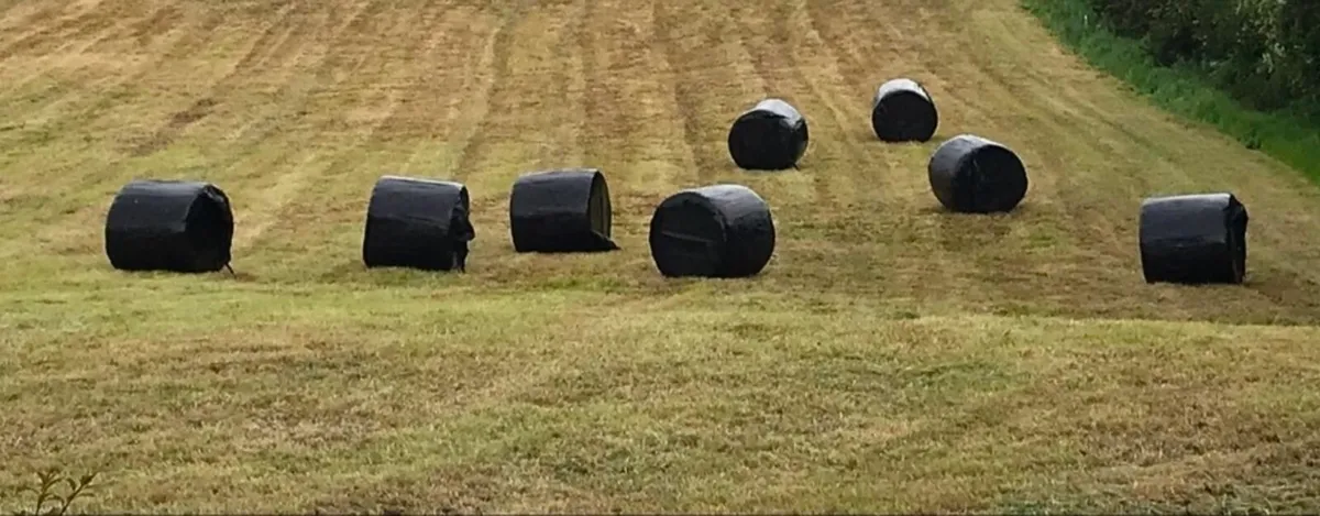 Quality Round Silage Bales - (Organic) - Image 2