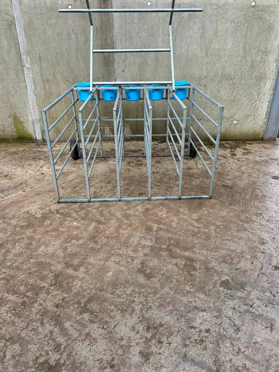 Condon Calf Feeder - Image 1