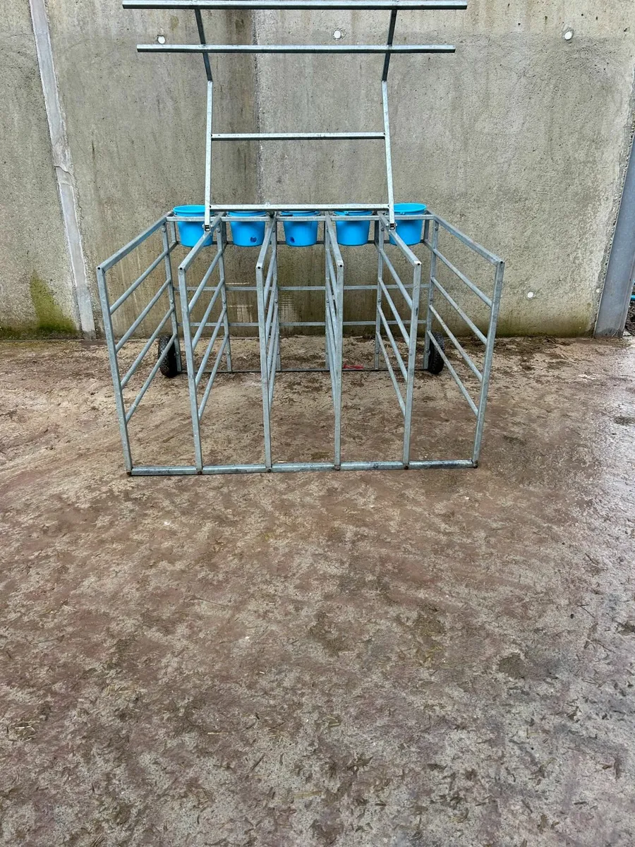 Condon Calf Feeder - Image 2