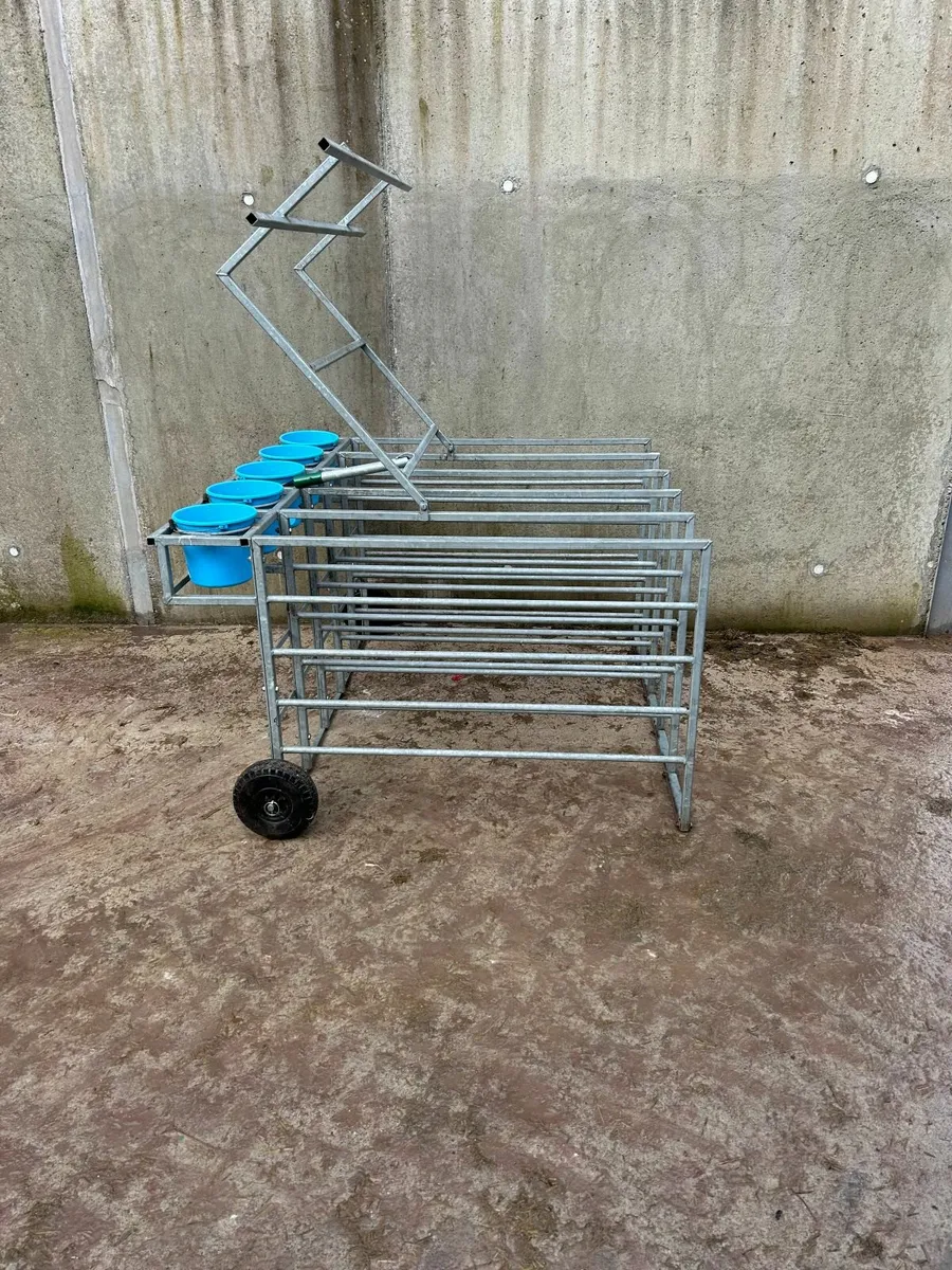 Condon Calf Feeder - Image 3