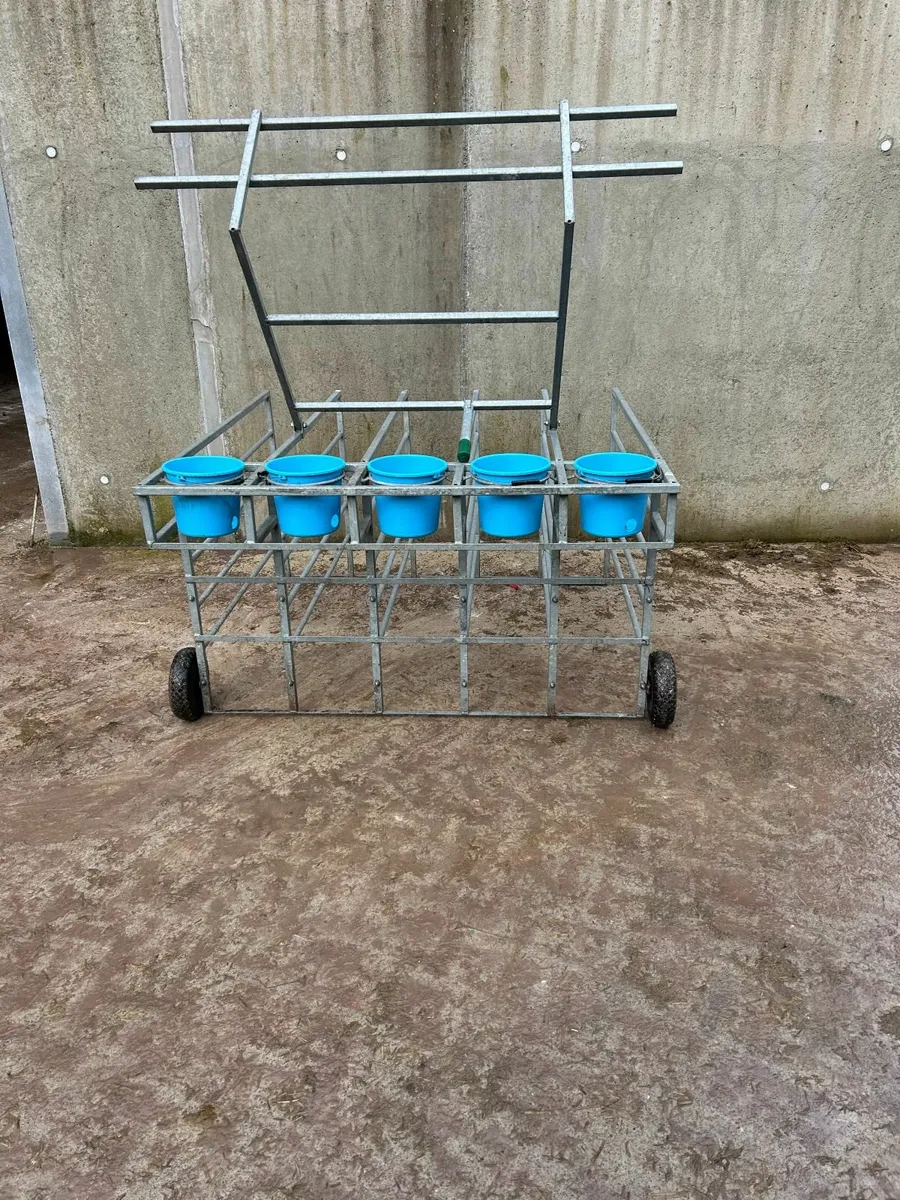 Condon Calf Feeder - Image 4