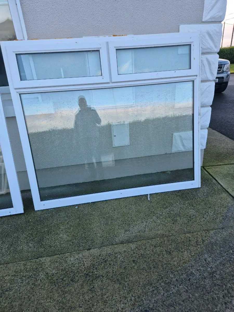 Conservatory windows - Image 2