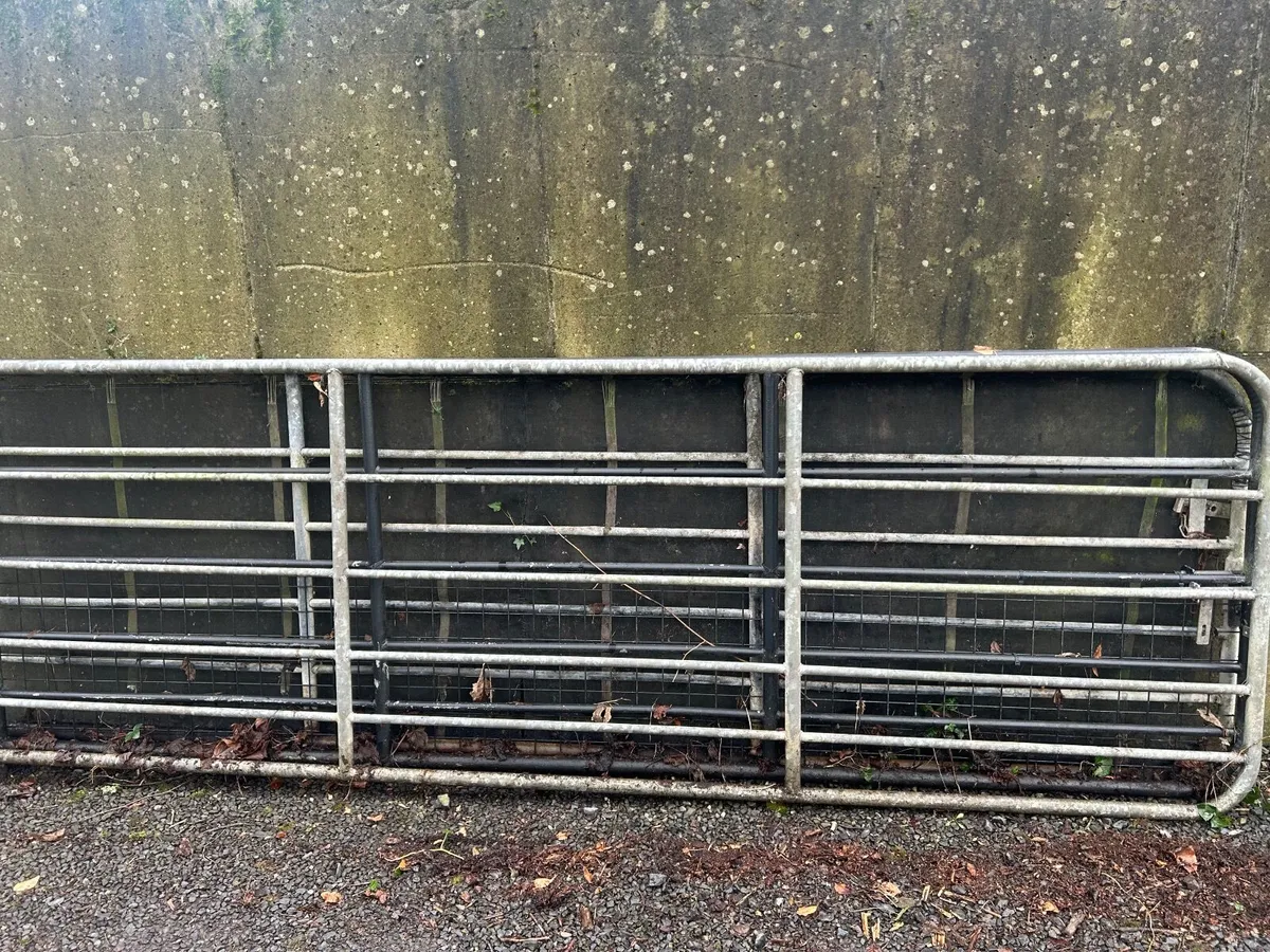 Farm gates - Image 2