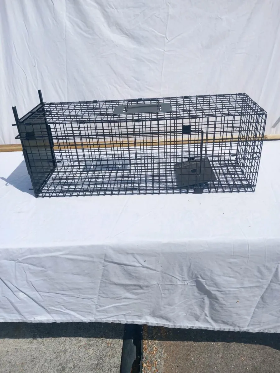 Rat traps - Image 4
