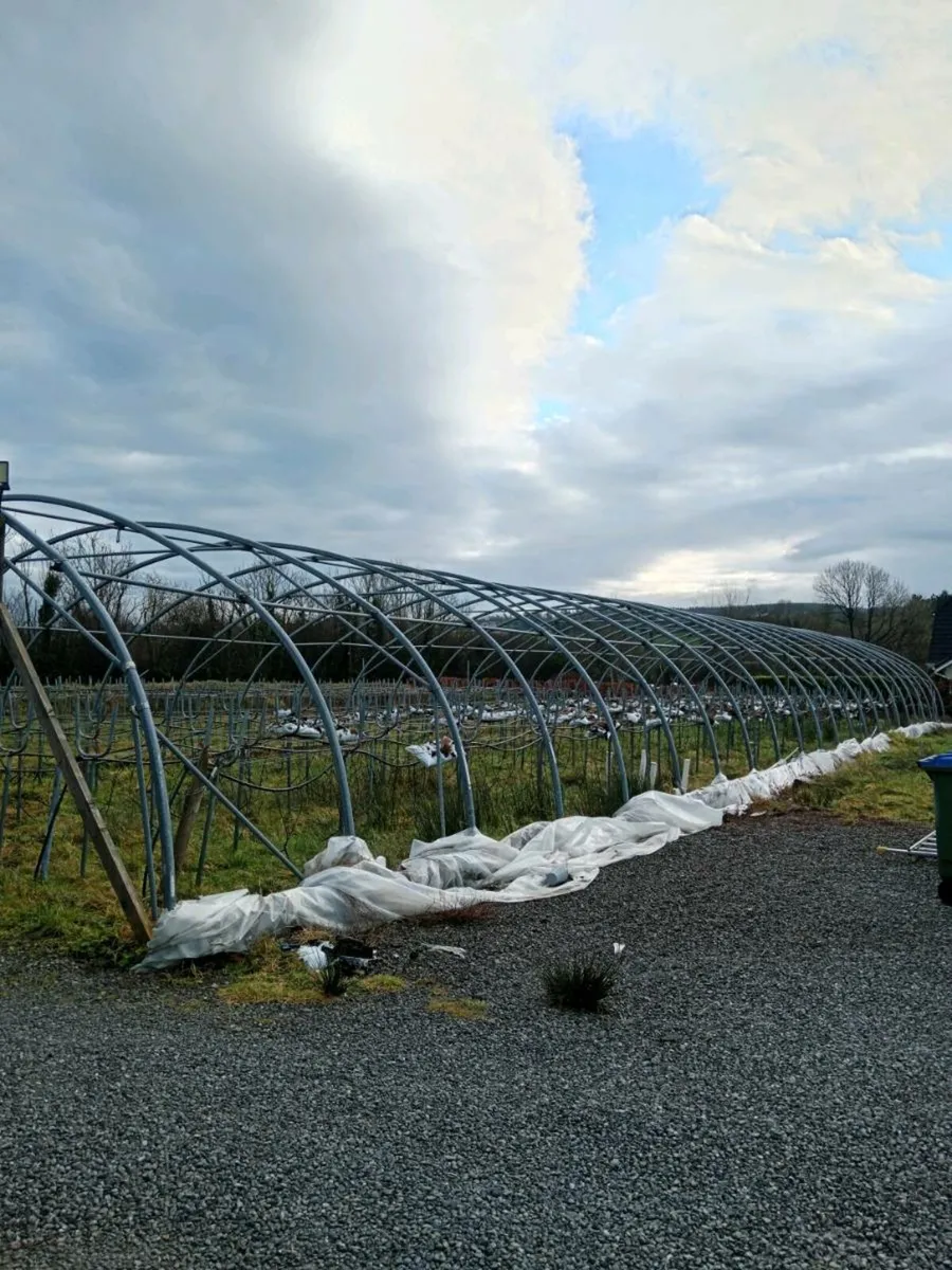 Polytunnell and full feeding system - Image 1