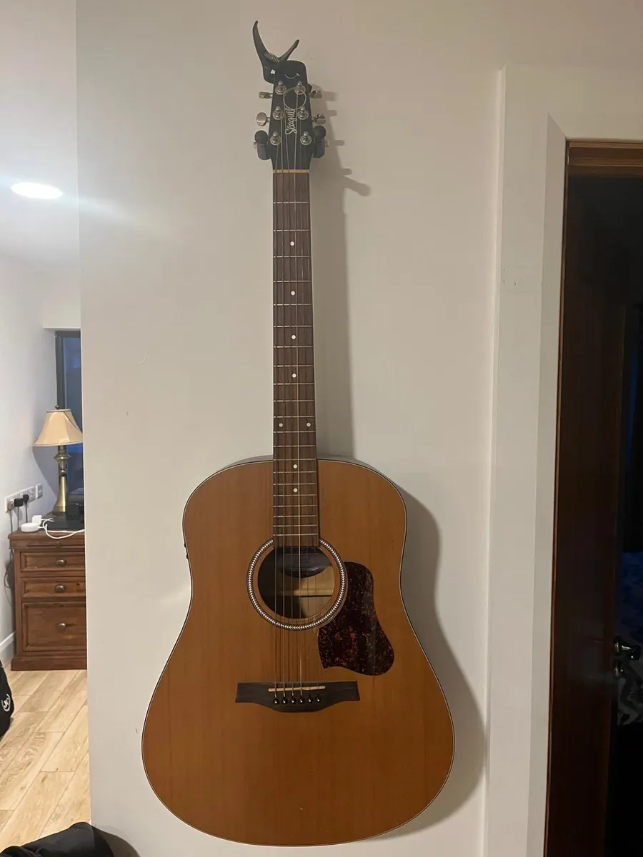 Seagull Guitar - Image 1