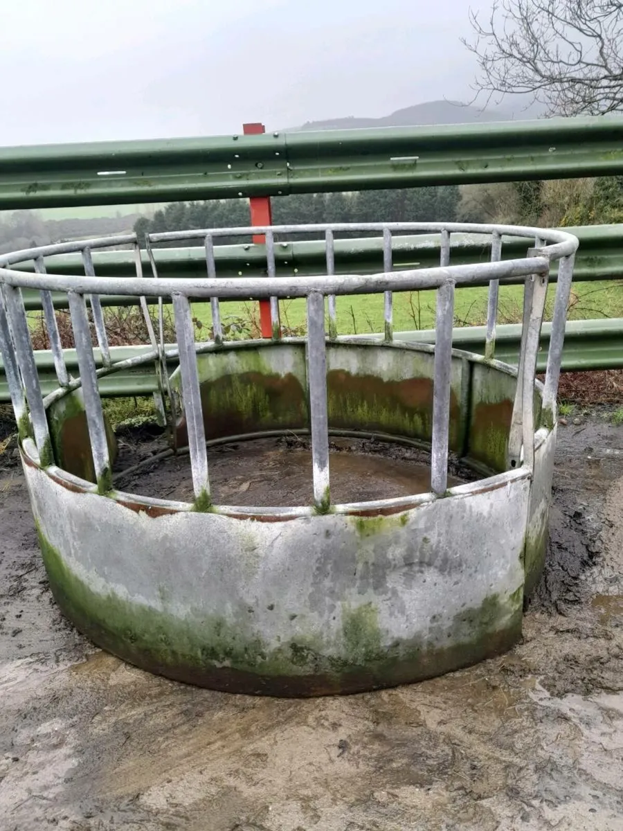 Cattle Feeders - Image 2