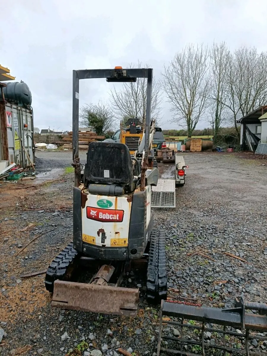Bobcat - Image 4
