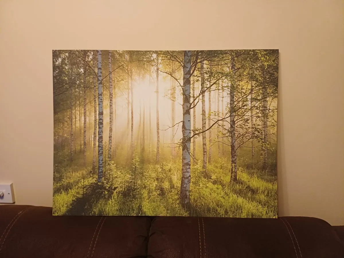 Canvas Picture