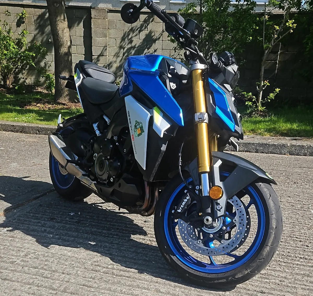 2022 Suzuki GSX-S1000