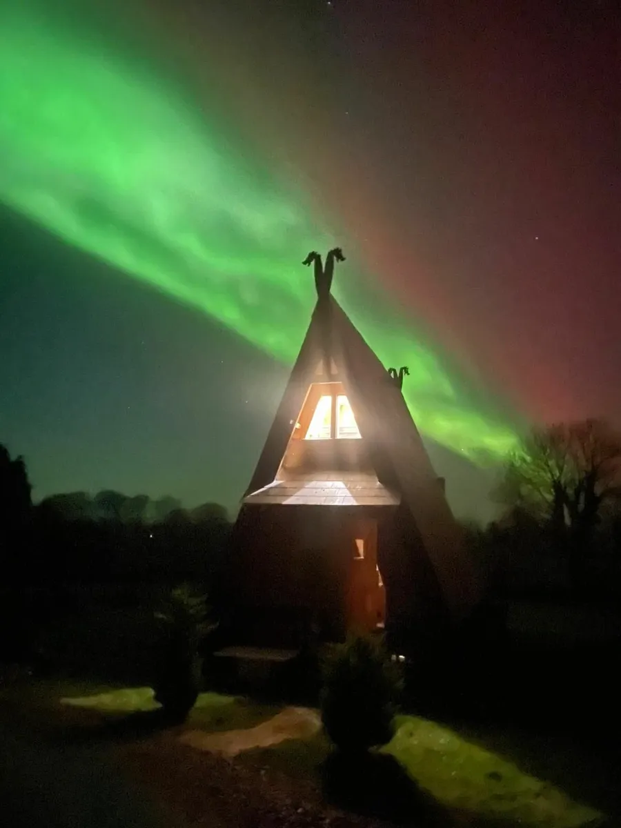 Log cabins - joinery - Image 1