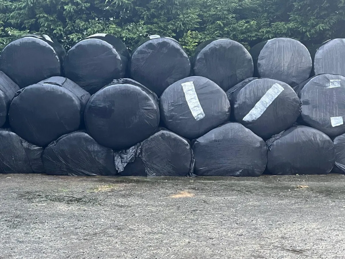 First cut silage bales - Image 2