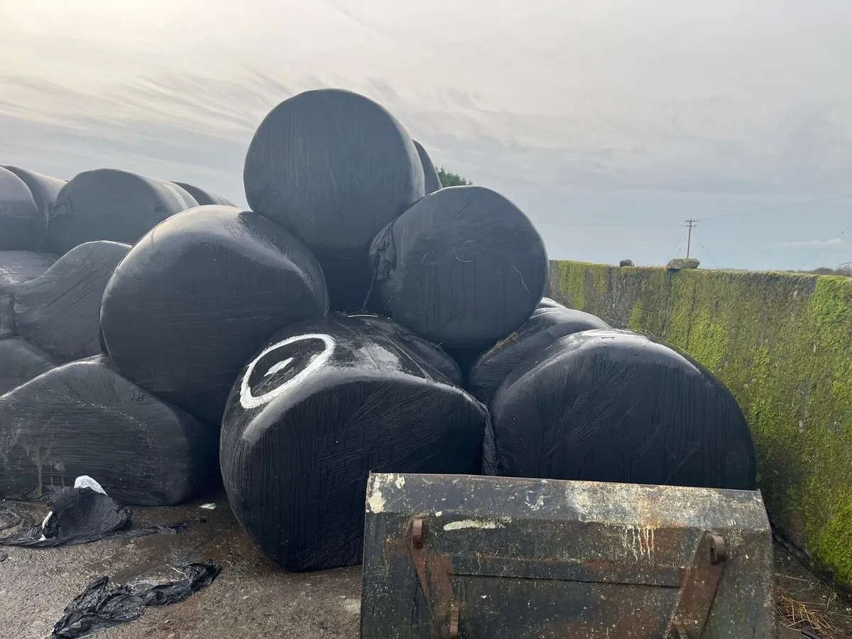 First cut silage bales - Image 3