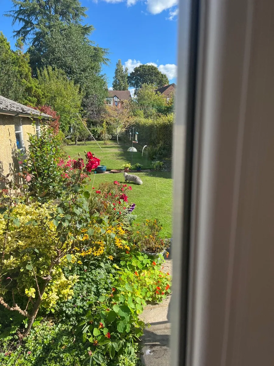 Teak glazed doors - Image 3
