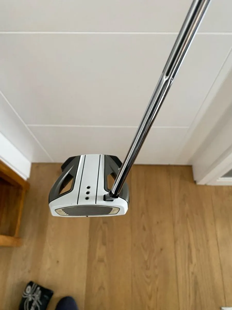 Taylormade spider EX - Image 1