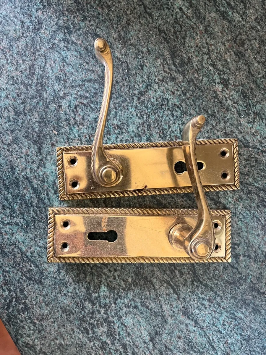 Teak glazed doors - Image 4