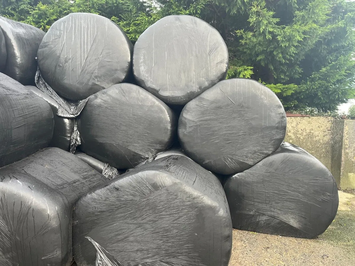 First cut silage bales - Image 4