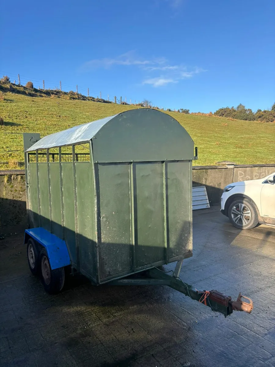 Cattle Box 8×4 For Sale. - Image 4