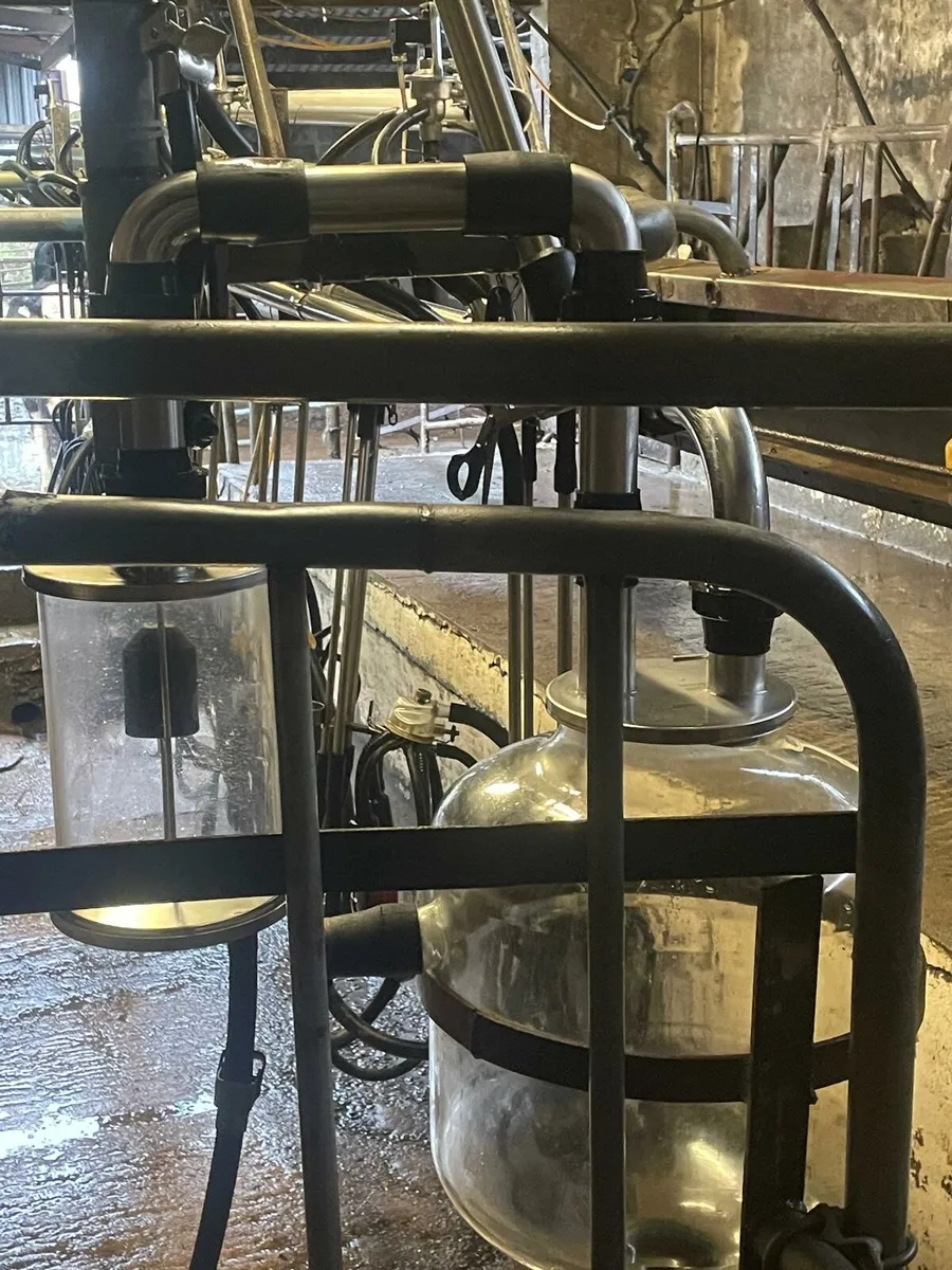 Milking machine - Image 2