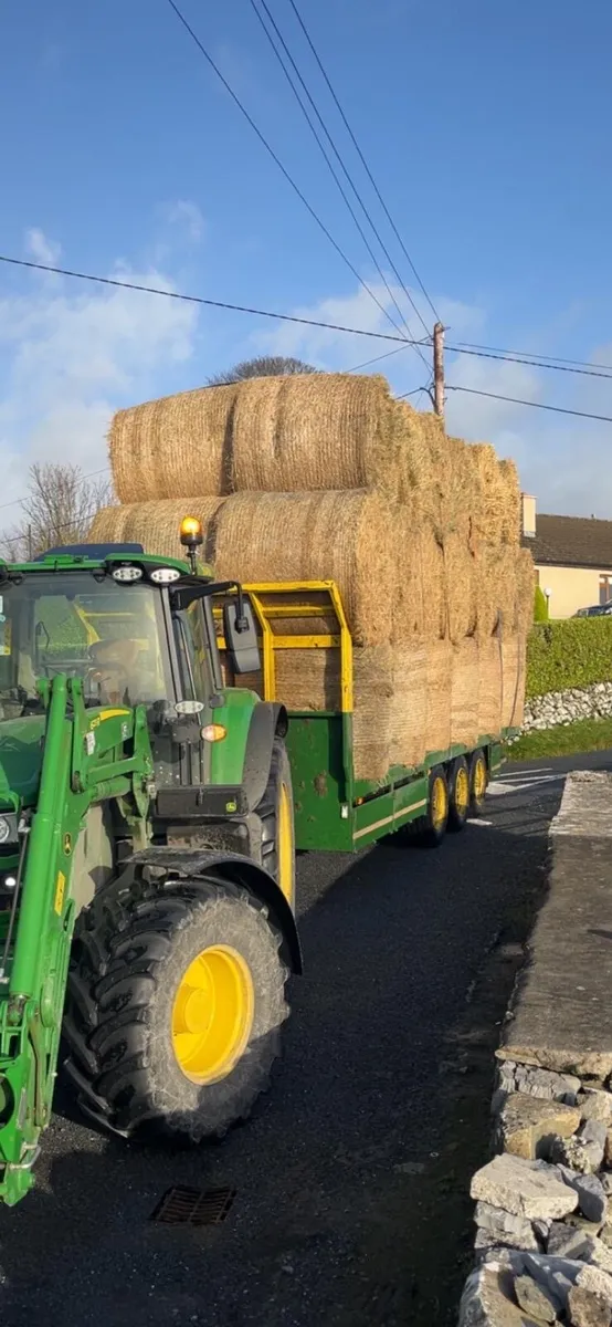 Hay & Straw for sale - Image 2