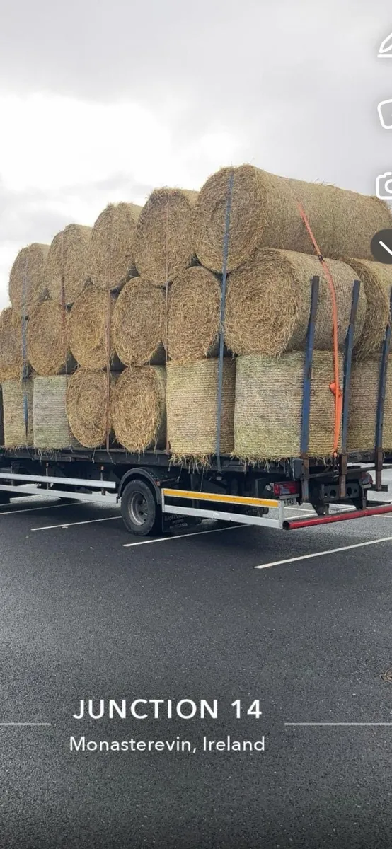 Hay & Straw for sale - Image 1