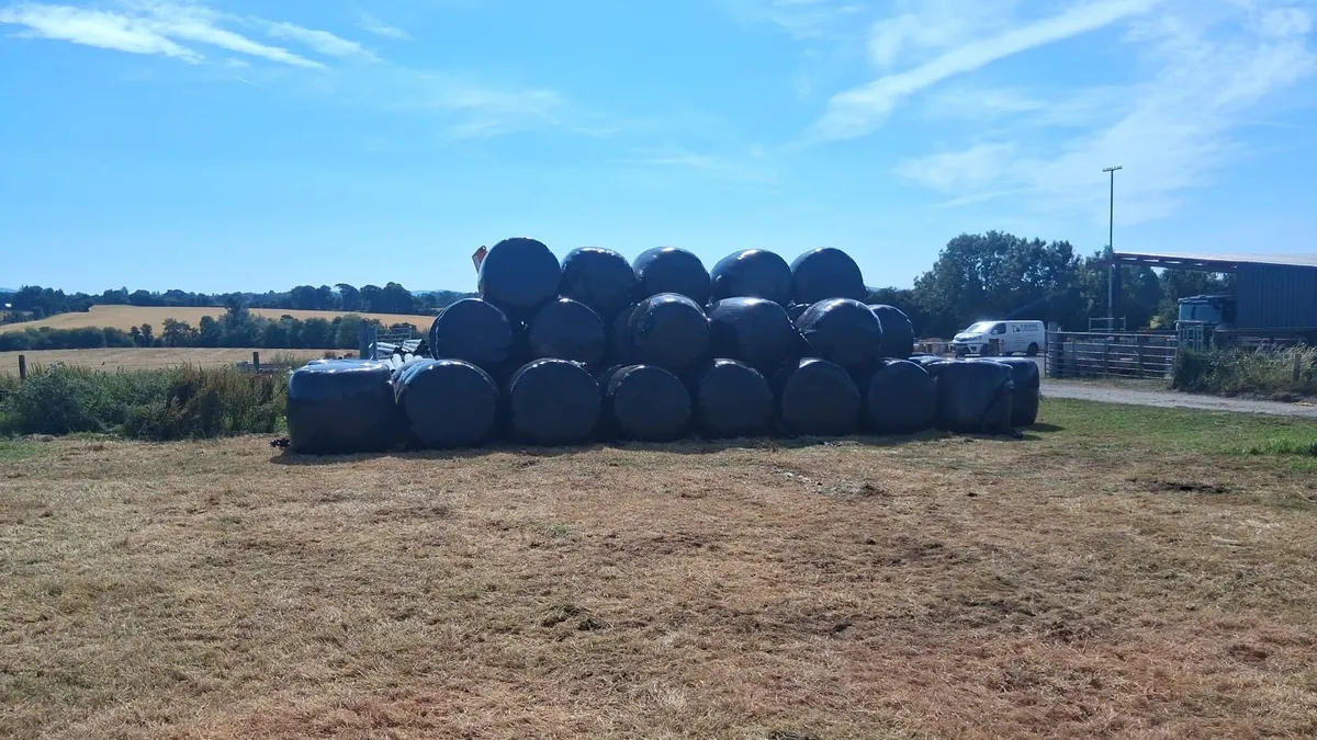 40 haylage bales - Image 1