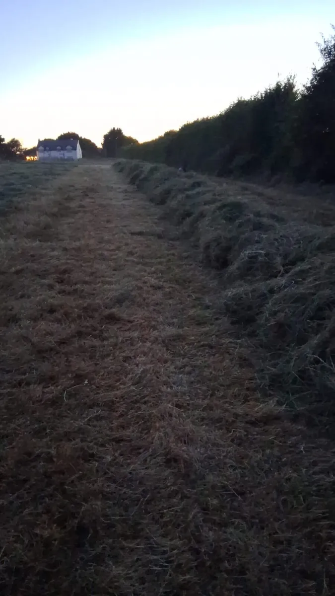 40 haylage bales - Image 3