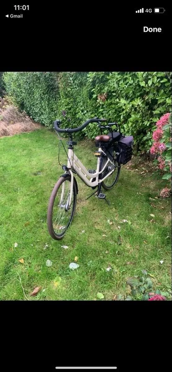 BSP Ladies Bike cargo - Image 1