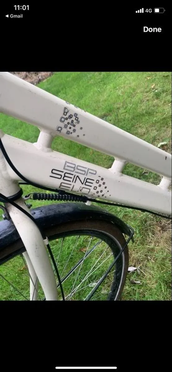 BSP Ladies Bike cargo - Image 2