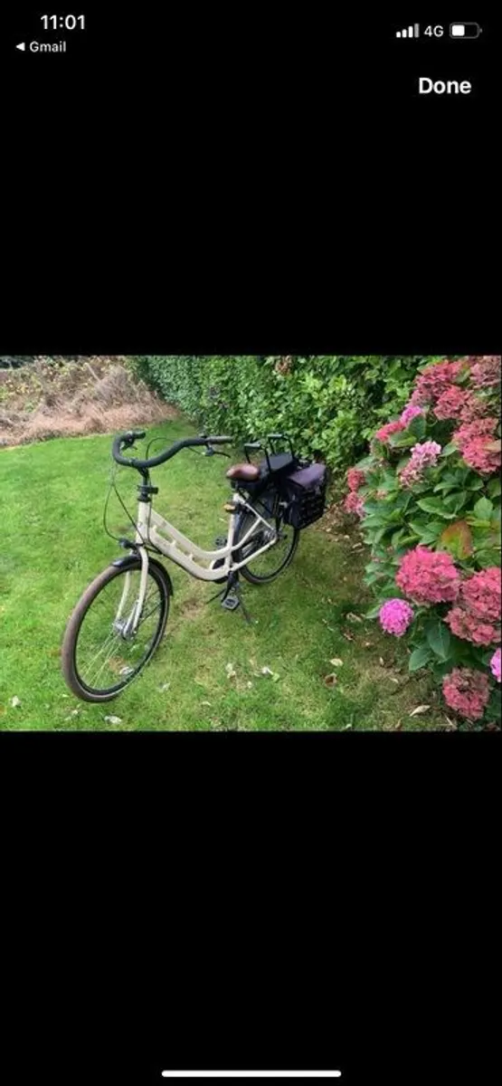 BSP Ladies Bike cargo - Image 3