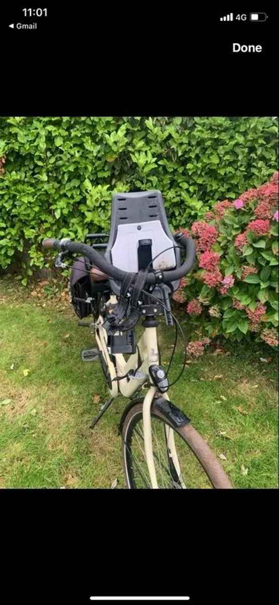 BSP Ladies Bike cargo - Image 4