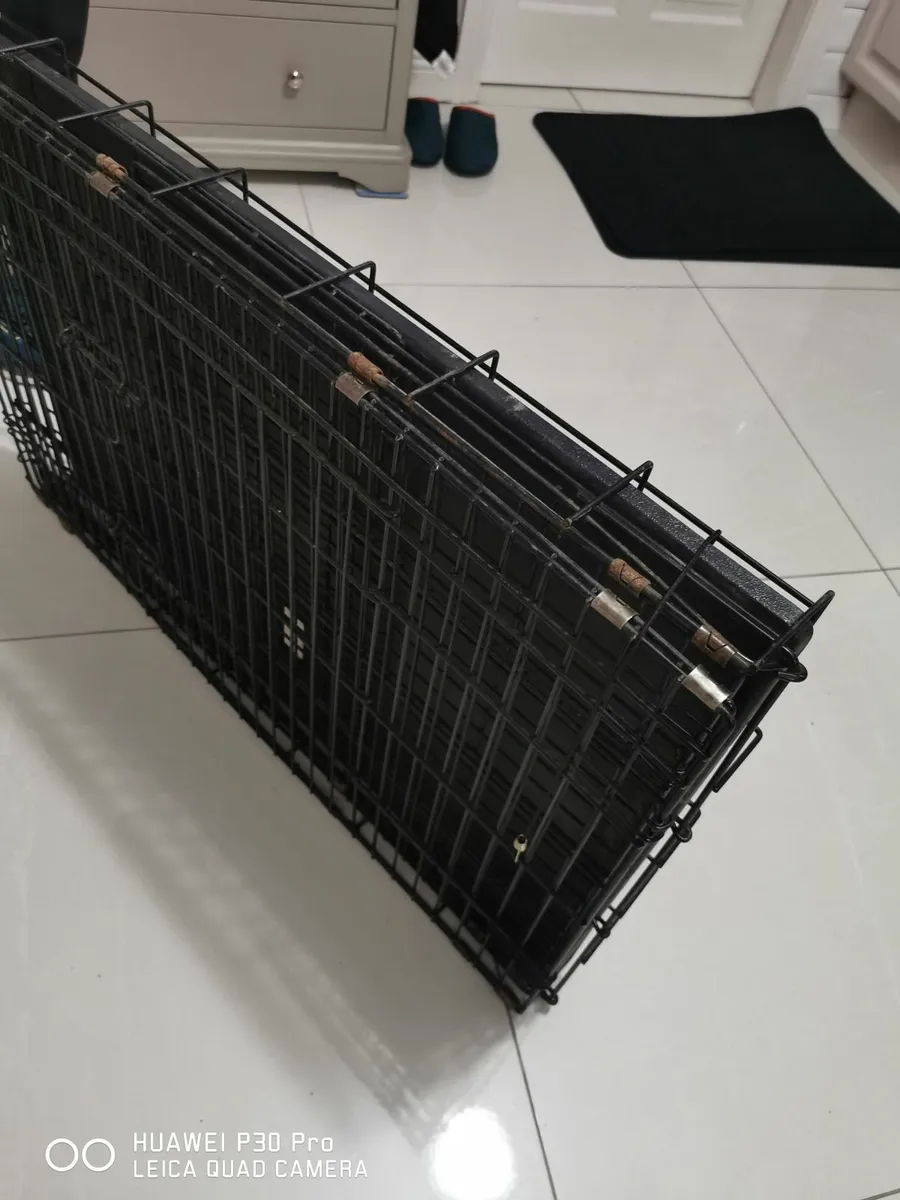 Dog cage - Image 4