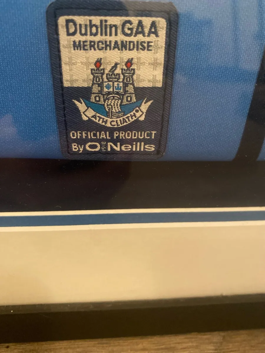 Dublin gaa jersey signed by whole team - Image 2