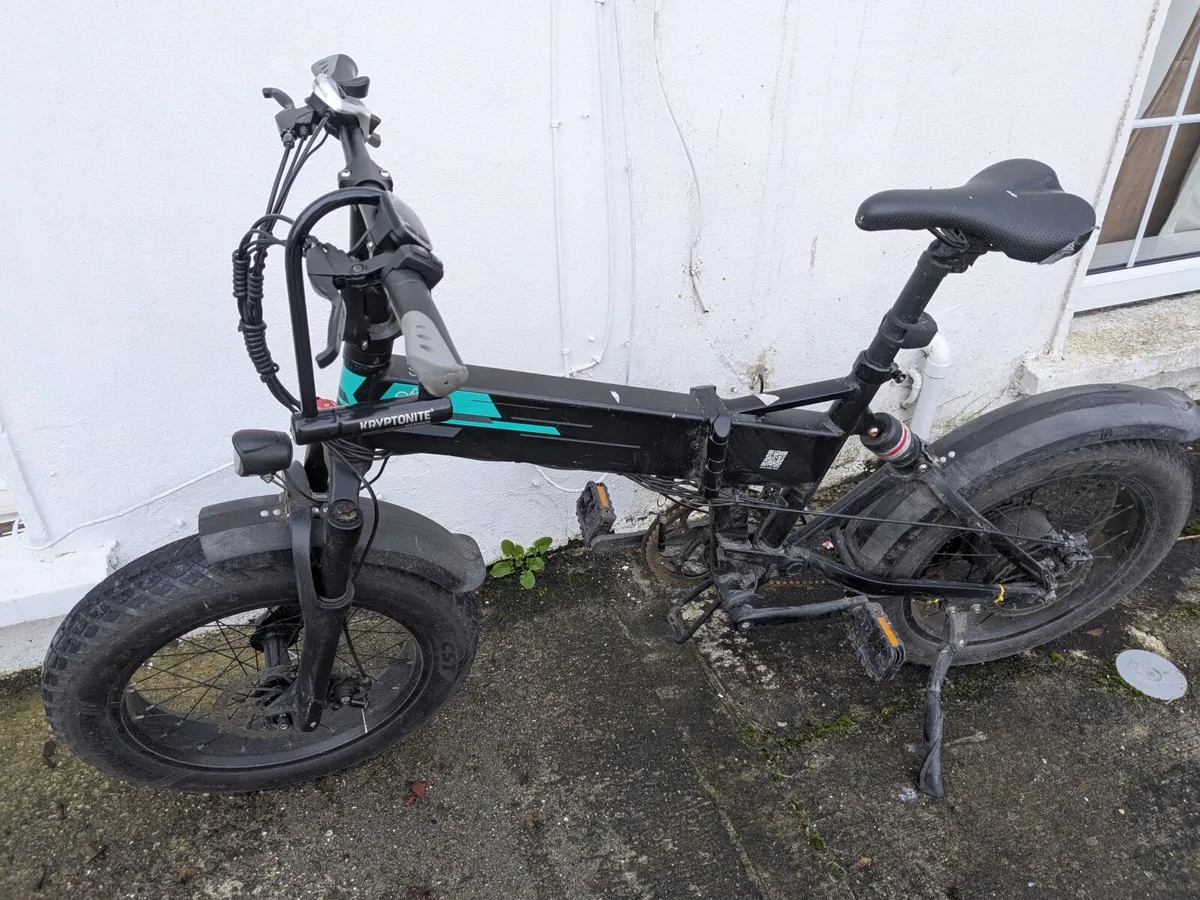 Fiido M1 Pro Fat Tire Electric Bike - Image 1