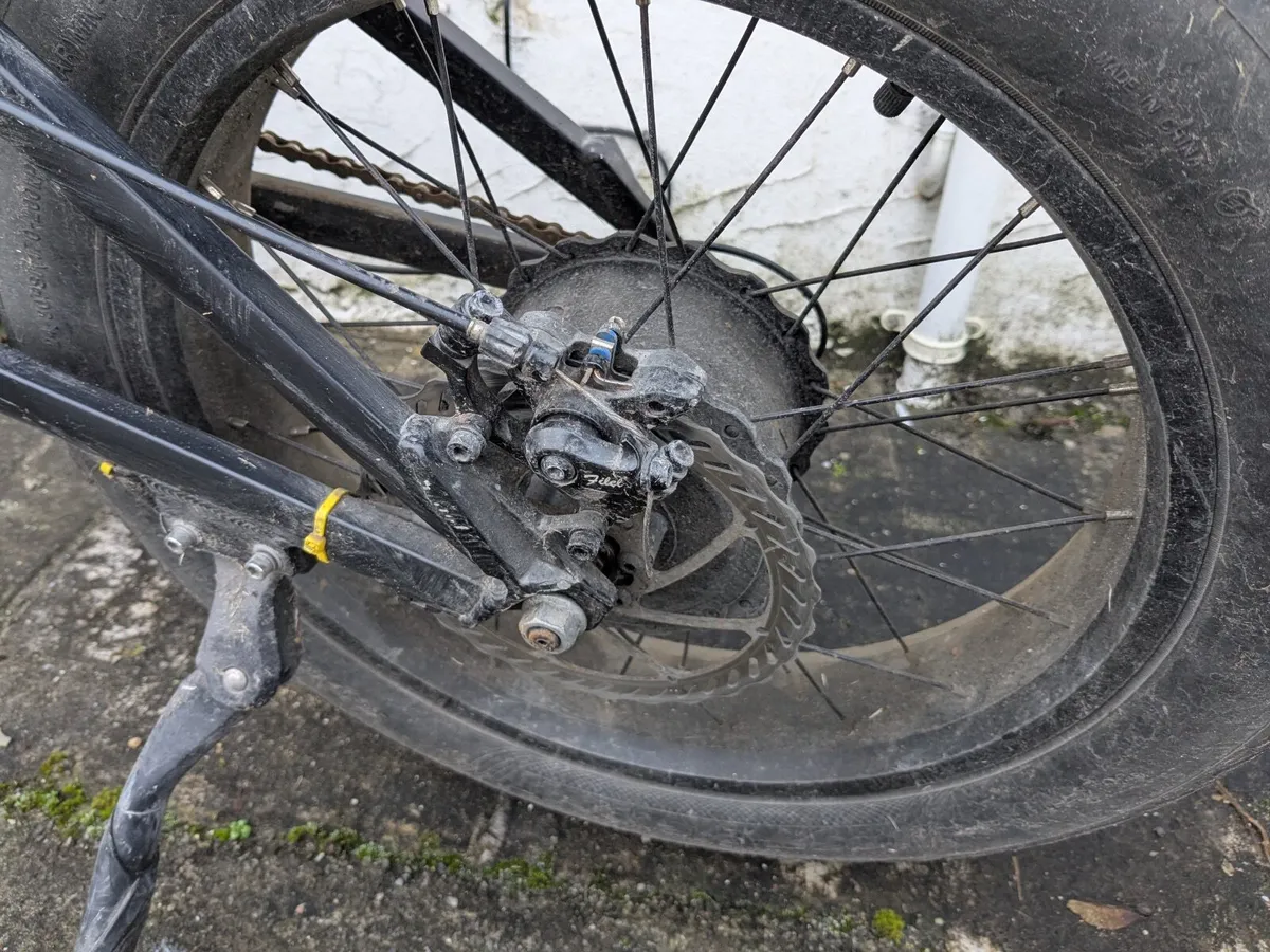 Fiido M1 Pro Fat Tire Electric Bike - Image 3