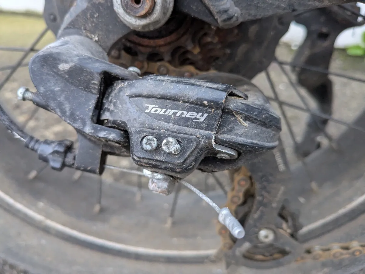 Fiido M1 Pro Fat Tire Electric Bike - Image 4