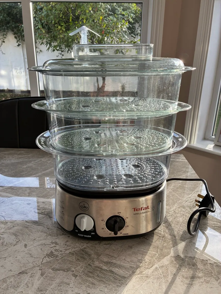 Food steamer