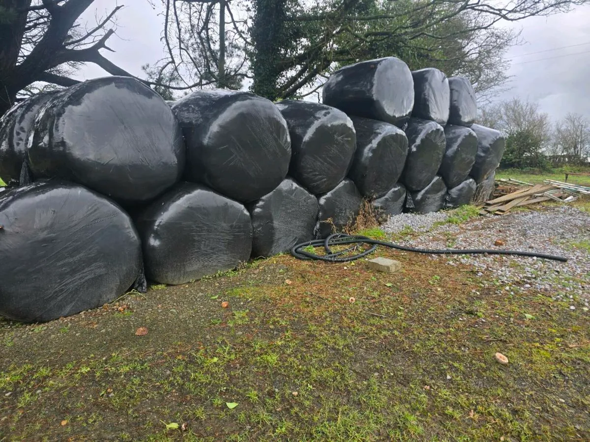 Silage bales