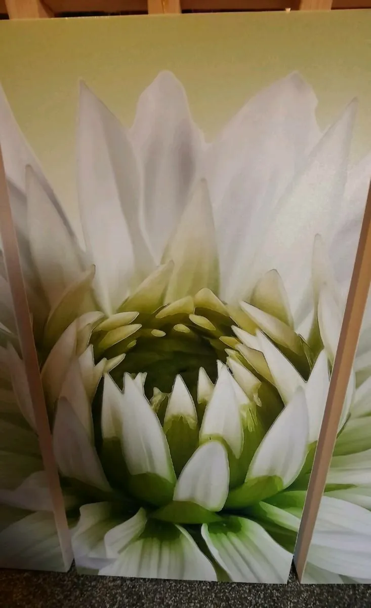 3-Panel Canvas Wall Art – Sage Green Floral - Image 3