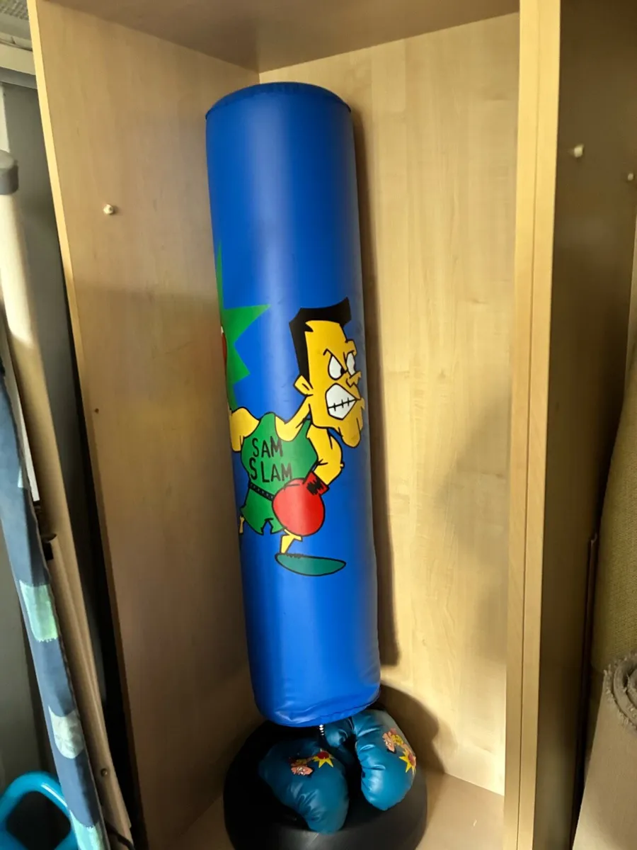 Kids punching bag