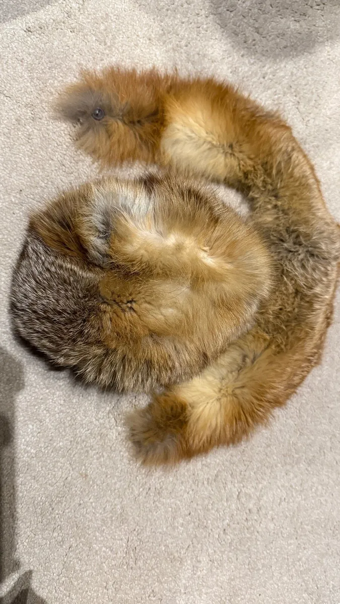 fox fur collar and hat - Image 2