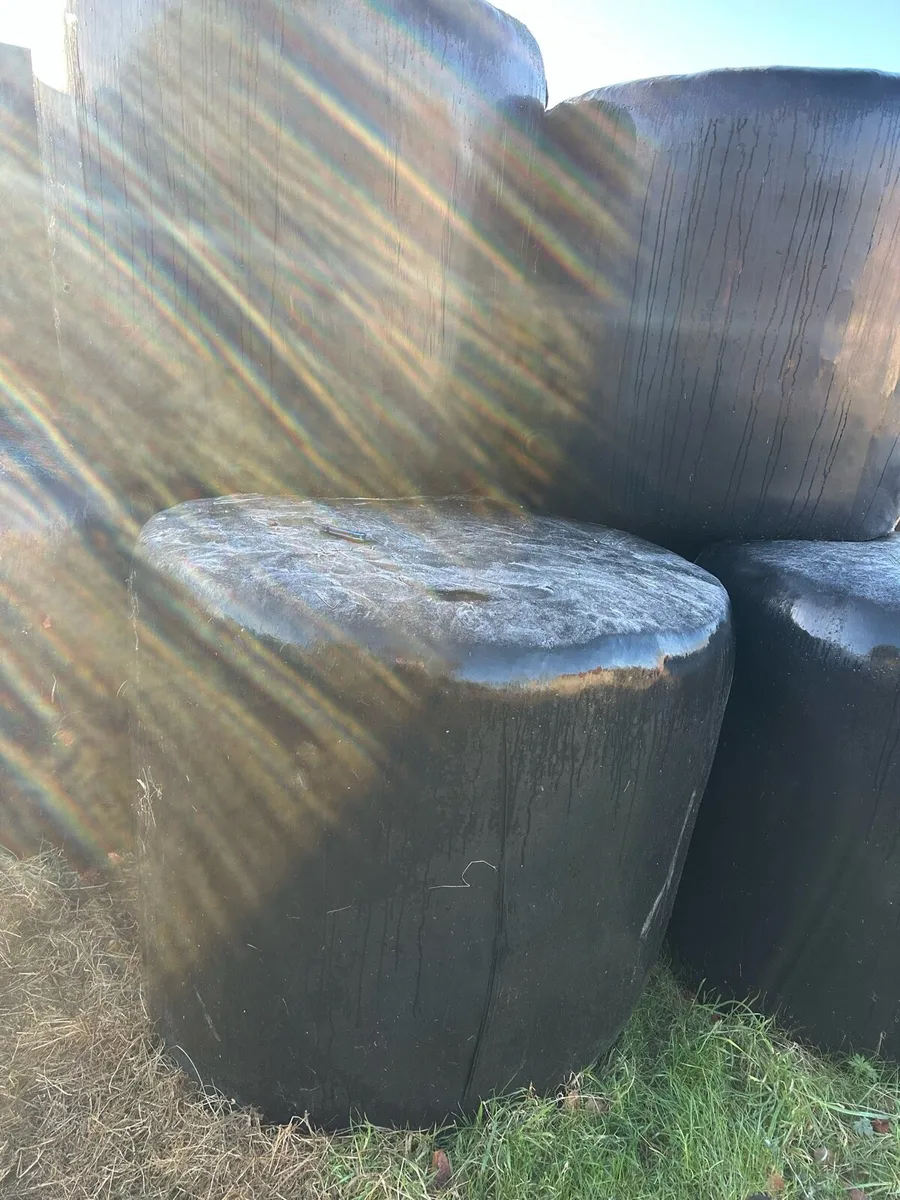 Haylage,silage - Image 3