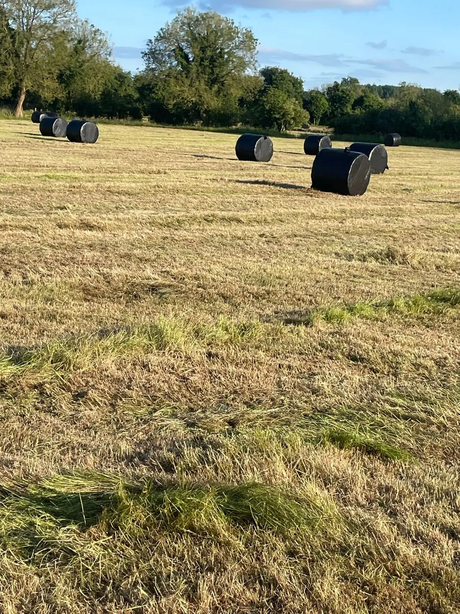Haylage,silage - Image 1
