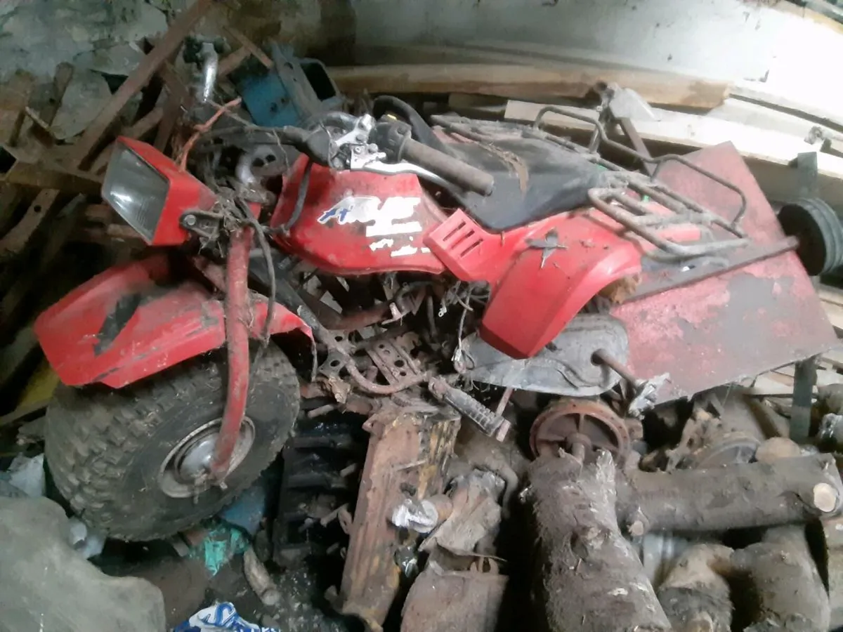 Honda 125  3 wheeler trike forsale for parts - Image 3