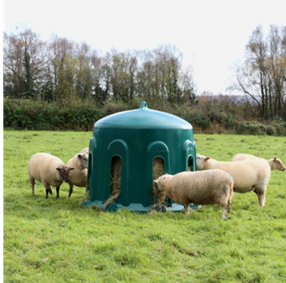 Sheep Haybell / Round Bale Feeder - Image 1