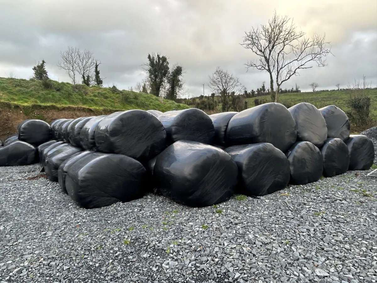 Silage bales - Image 1