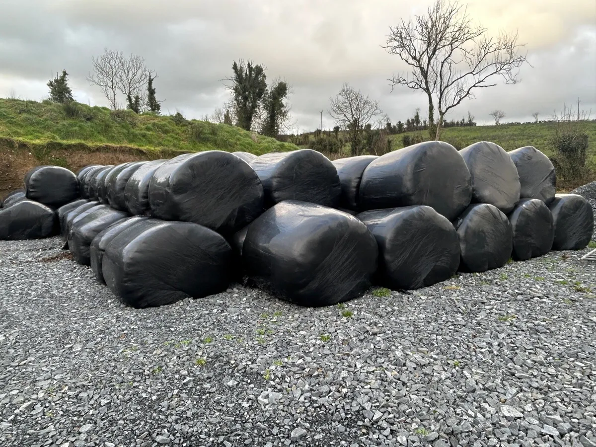 Silage bales - Image 2
