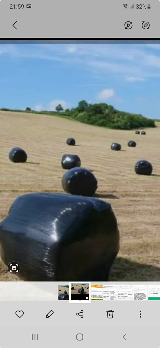 First Cut Haylage - 2025