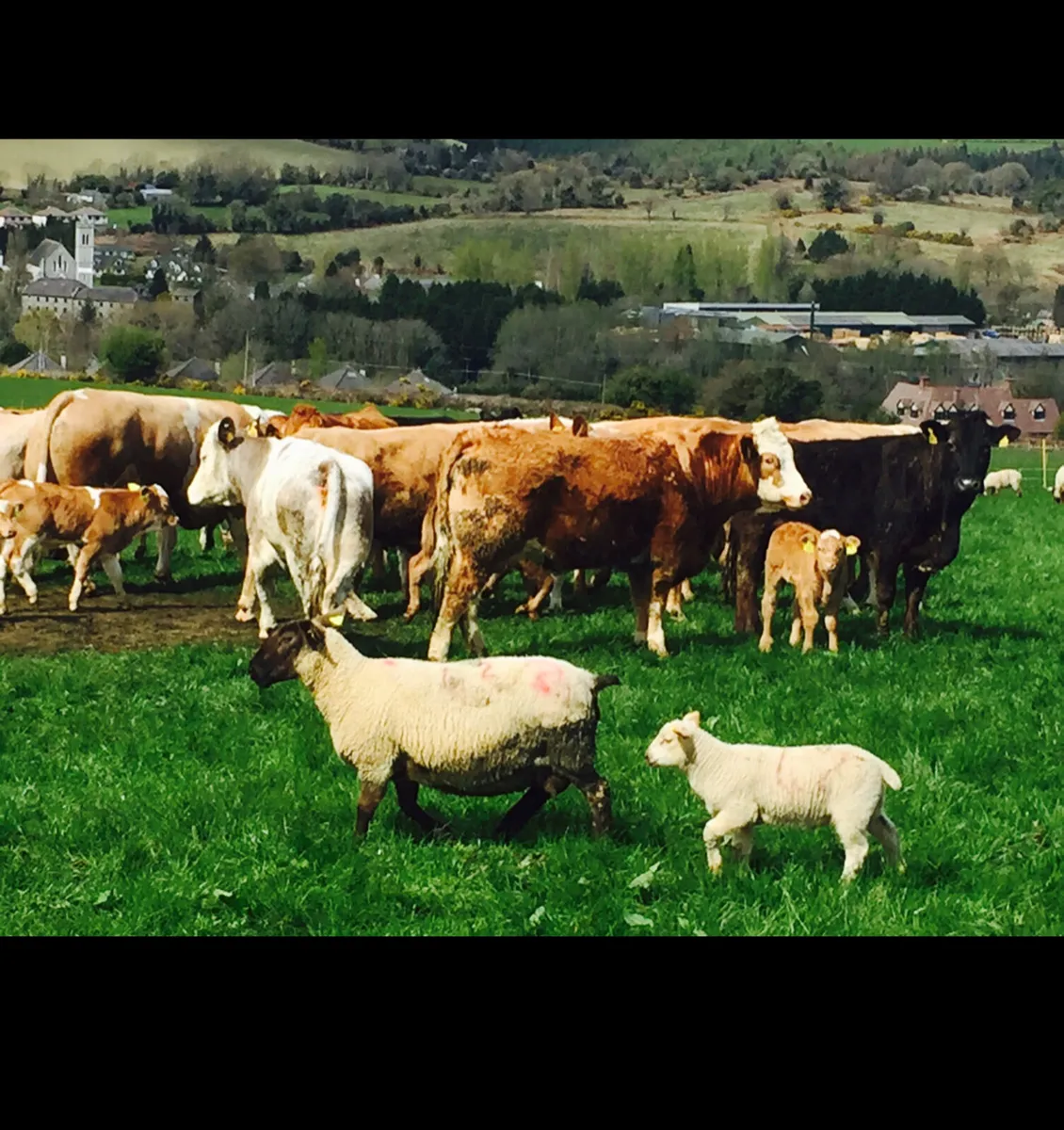 ⭐️⭐️Land⭐️⭐️